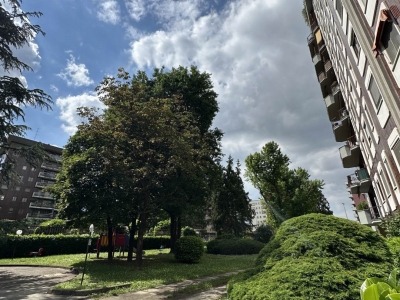 immagine annuncio 2 di 9