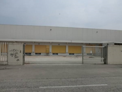 immagine annuncio 3 di 7