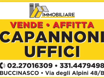 immagine annuncio 2 di 9