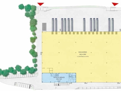 immagine annuncio 1 di 6