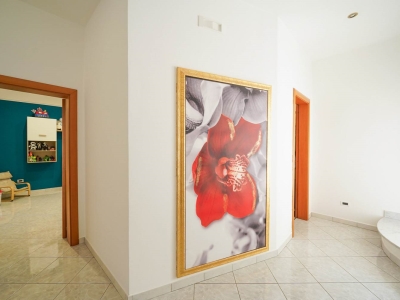 immagine annuncio 5 di 9