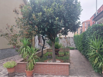 immagine annuncio 2 di 9