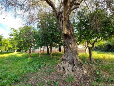 immagine annuncio 8 di 9