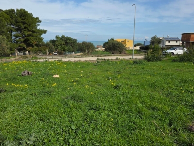 immagine annuncio 2 di 8