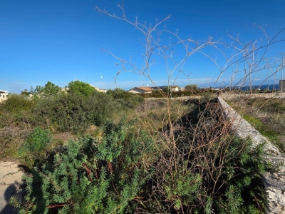 immagine annuncio 6 di 9