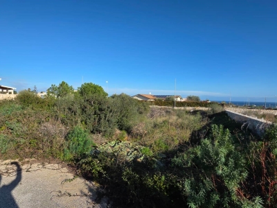 immagine annuncio 4 di 9