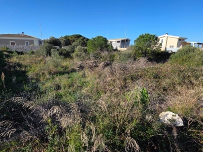 immagine annuncio 7 di 9