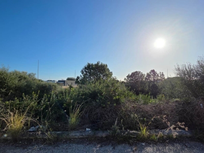 immagine annuncio 5 di 9