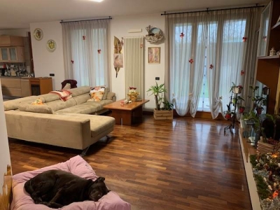 immagine annuncio 1 di 9