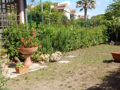 immagine annuncio 5 di 9