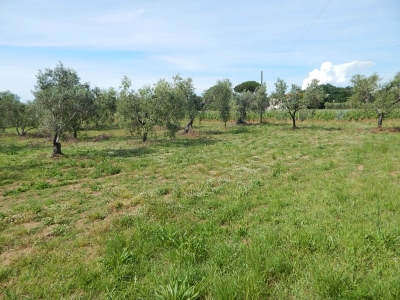 immagine annuncio 4 di 8