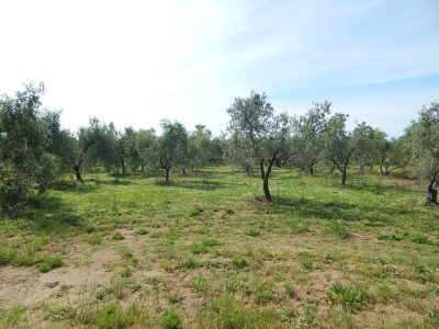 immagine annuncio 1 di 8
