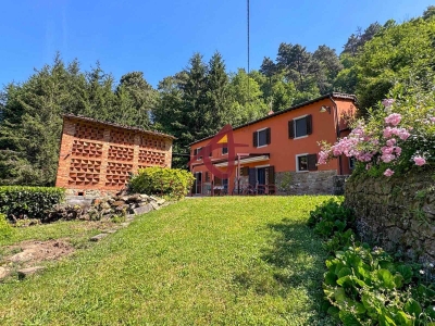 immagine annuncio 3 di 9