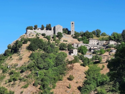 immagine annuncio 5 di 9
