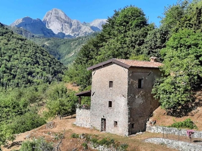 immagine annuncio 4 di 9