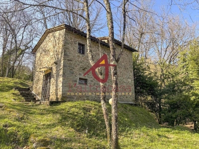immagine annuncio 8 di 9