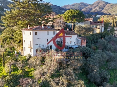 immagine annuncio 2 di 9