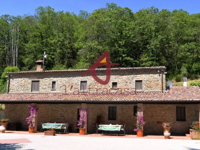 immagine annuncio 2 di 9