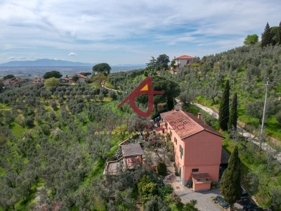 immagine annuncio 5 di 9