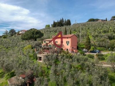 immagine annuncio 3 di 9