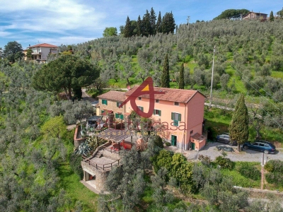 immagine annuncio 2 di 9