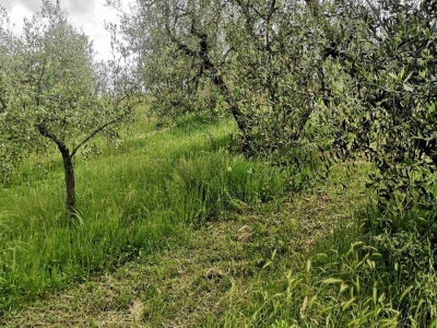 immagine annuncio 3 di 9