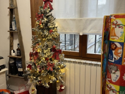 immagine annuncio 2 di 9
