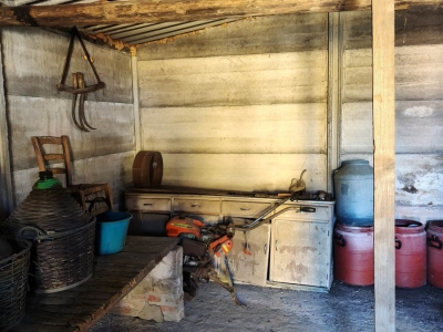 immagine annuncio 4 di 9