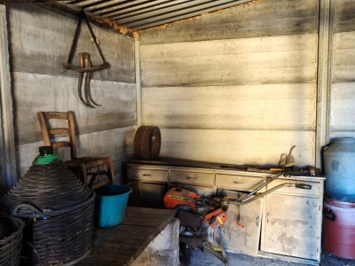 immagine annuncio 1 di 9