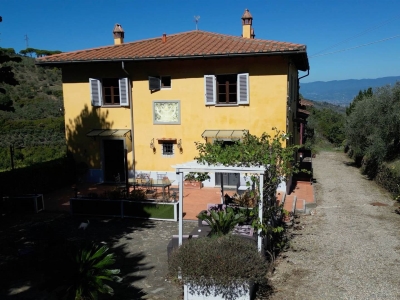 immagine annuncio 3 di 9