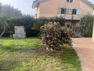 immagine annuncio 2 di 9