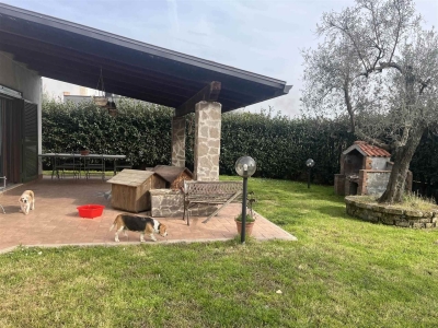 immagine annuncio 3 di 9