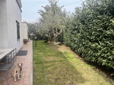 immagine annuncio 4 di 9