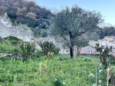 immagine annuncio 5 di 9
