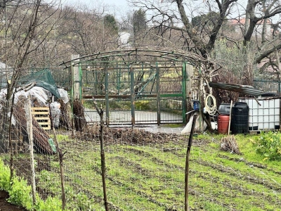 immagine annuncio 6 di 9