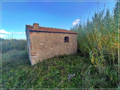immagine annuncio 6 di 9