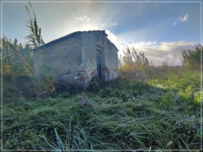 immagine annuncio 4 di 9