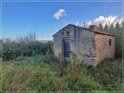 immagine annuncio 2 di 9