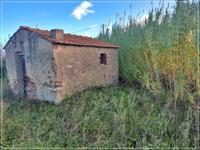 immagine annuncio 8 di 9