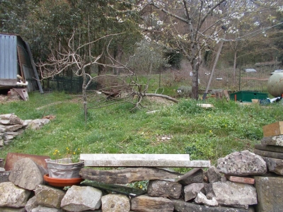 immagine annuncio 6 di 9