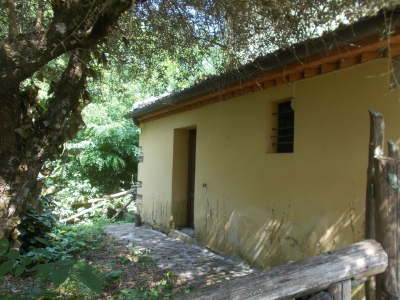 immagine annuncio 4 di 9