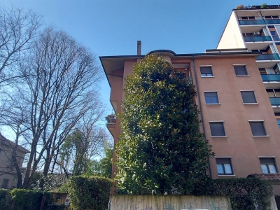 immagine annuncio 3 di 9