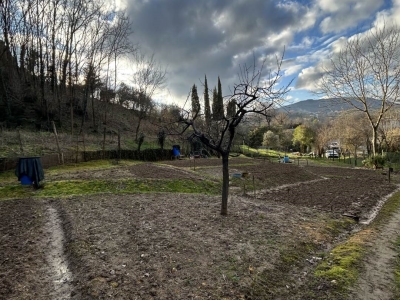 immagine annuncio 6 di 9
