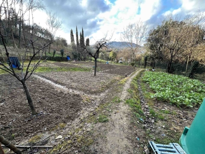 immagine annuncio 5 di 9