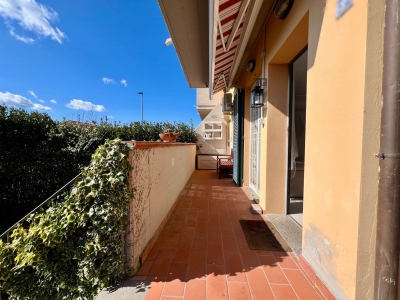 immagine annuncio 3 di 9