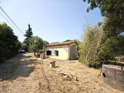 immagine annuncio 6 di 9