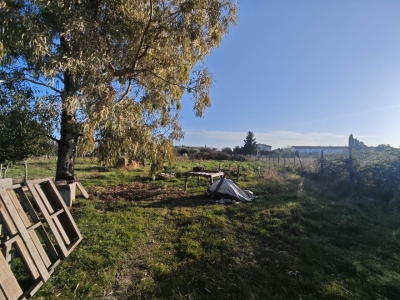 immagine annuncio 5 di 9