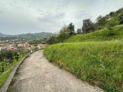 immagine annuncio 2 di 9