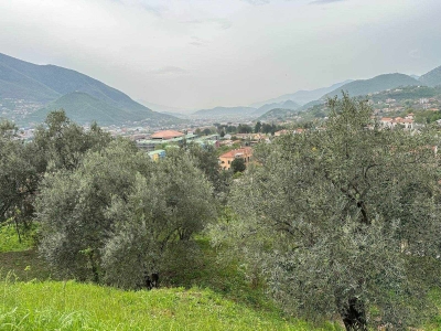 immagine annuncio 1 di 9