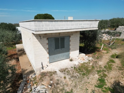 immagine annuncio 7 di 9